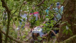 Ecología y Ohana concretaron una nueva liberación de fauna silvestre: monos, oso melero y tucán volvieron a su hábitat natural imagen-1