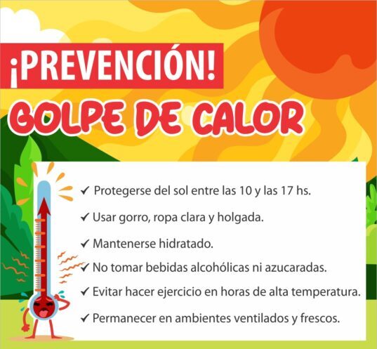 ☀️ Cuidate: mucho calor puede hacer colapsar el organismo ☀️ Cuidate: mucho calor puede hacer colapsar el organismo imagen-4