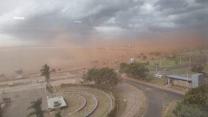 🔴URGENTE | Emiten alerta para Misiones a muy corto plazo por lluvias, tormentas, viento y caída de granizo: a qué zonas comprende imagen-4