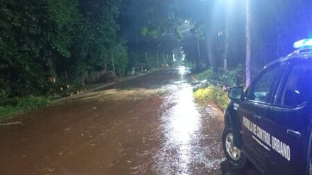 La Policía coordinó intervenciones en distintas localidades de Misiones afectadas por el temporal imagen-125