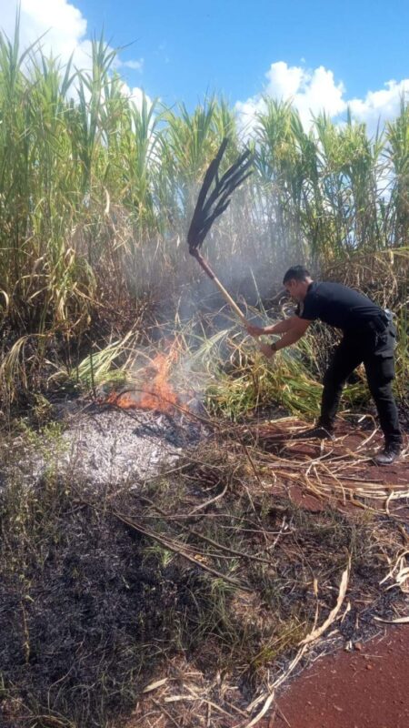 Incendio de malezas fue controlado en Posadas Incendio de malezas fue controlado en Posadas imagen-6