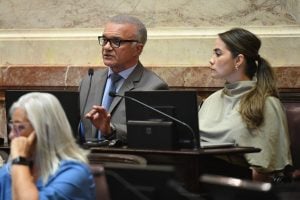 El senador misionero Carlos Arce respaldó la reforma del régimen penal juvenil: “No es un proyecto punitivo, es un proyecto formativo” El senador misionero Carlos Arce respaldó la reforma del régimen penal juvenil: “No es un proyecto punitivo, es un proyecto formativo” imagen-10