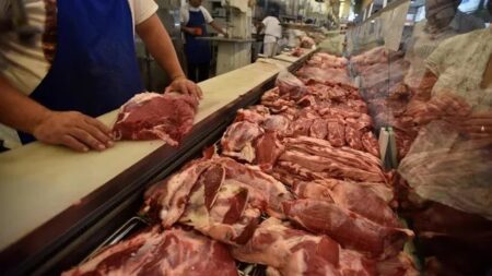 Volvió a aumentar la carne vacuna: “todos están asustados porque no hay ventas y se paralizó el sector” imagen-6