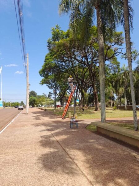 Energía: Mejoras del alumbrado público para Candelaria Energía: Mejoras del alumbrado público para Candelaria imagen-15