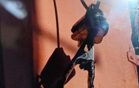 Alertan por los riesgos de las conexiones eléctricas irregulares, tras una muerte en Posadas Alertan por los riesgos de las conexiones eléctricas irregulares, tras una muerte en Posadas imagen-8