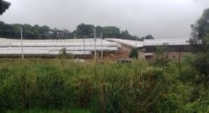 Brasil: rescataron a 14 misioneros que denunciaron explotación laboral en un video viral Brasil: rescataron a 14 misioneros que denunciaron explotación laboral en un video viral imagen-11