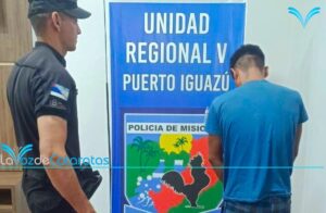 Detuvieron a un joven acusado de robar un celular en un local gastronómico imagen-73