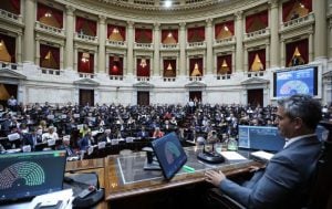 El Gobierno nacional convocó para este jueves la sesión para tratar la reforma laboral y desde la medianoche regirá el paro de transporte en todo el país imagen-5