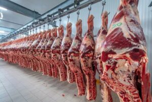 El precio de la carne vacuna dispara cambios en los hábitos de consumo: familias ajustan la mesa frente a la inflación imagen-2