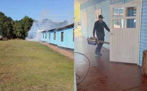 Mojón Grande refuerza tareas de fumigación, limpieza y arreglo de caminos Mojón Grande refuerza tareas de fumigación, limpieza y arreglo de caminos imagen-72