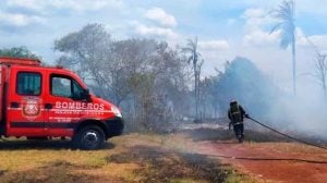 Alerta por riesgo extremo de incendios en Misiones: “El 95% de los incendios son causados por el hombre” imagen-7