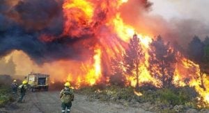 Patagonia en llamas: brigadistas misioneros combaten incendios en Los Alerces y denuncian daños ambientales irreparables imagen-8
