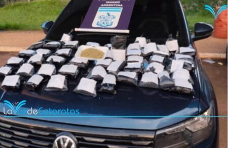 Detienen a brasileño que intentaba cruzar la frontera con 225 mil cápsulas para armas imagen-11