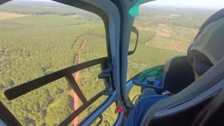 Ingenieros forestales preocupados por cambios en el manejo forestal imagen-4
