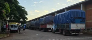 Para esta campaña se espera el acopio de unos 37 millones de kilos de tabaco imagen-1