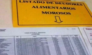 Alimentantes morosos crecieron casi un 26% en un año en Misiones Alimentantes morosos crecieron casi un 26% en un año en Misiones imagen-1