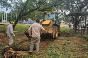 Temporal en Jardín América: continúan los trabajos y piden uso racional del agua imagen-2