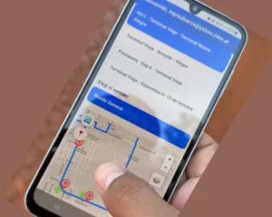 Puerto Esperanza incorpora una app para mejorar el servicio de trasporte urbano municipal imagen-1