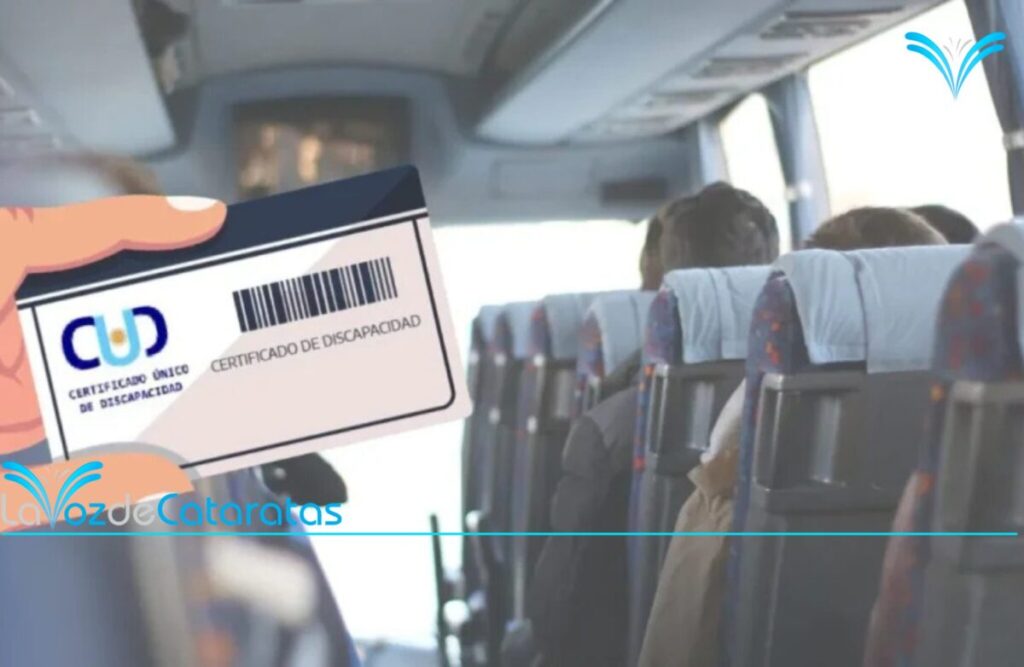 Personas con CUD denuncian que empresa no reprogramó pasajes tras el paro y debieron endeudarse para viajar Personas con CUD denuncian que empresa no reprogramó pasajes tras el paro y debieron endeudarse para viajar imagen-75