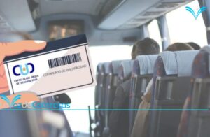 Personas con CUD denuncian que empresa no reprogramó pasajes tras el paro y debieron endeudarse para viajar Personas con CUD denuncian que empresa no reprogramó pasajes tras el paro y debieron endeudarse para viajar imagen-70