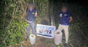 La Policía Federal incautó diez kilos de marihuana en orillas del río Paraná en Misiones La Policía Federal incautó diez kilos de marihuana en orillas del río Paraná en Misiones imagen-16