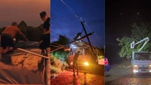 El intenso temporal que azotó Aristóbulo del Valle causó graves destrozos en viviendas y dejó 40 familias afectadas: “Tuvimos mucho miedo” imagen-123