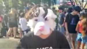 Se autoperciben animales: juntada therian en la plaza 9 de Julio de Posadas imagen-12