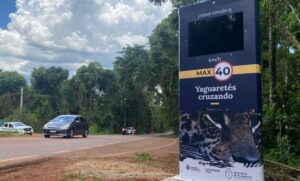 Implementarán códigos QR para denunciar conductas viales indebidas dentro del Parque Nacional Iguazú imagen-70