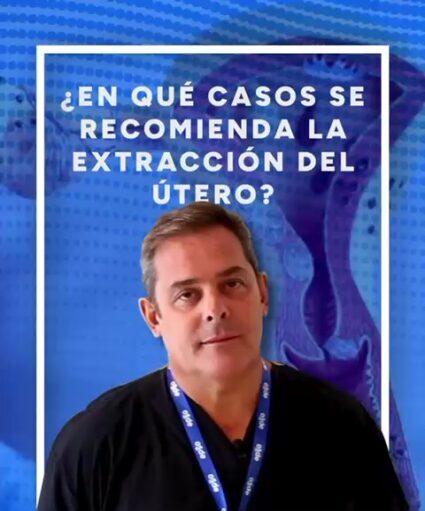 Histerectomía: en qué casos se recomienda la extirpación del útero❓🏥✂️ imagen-78