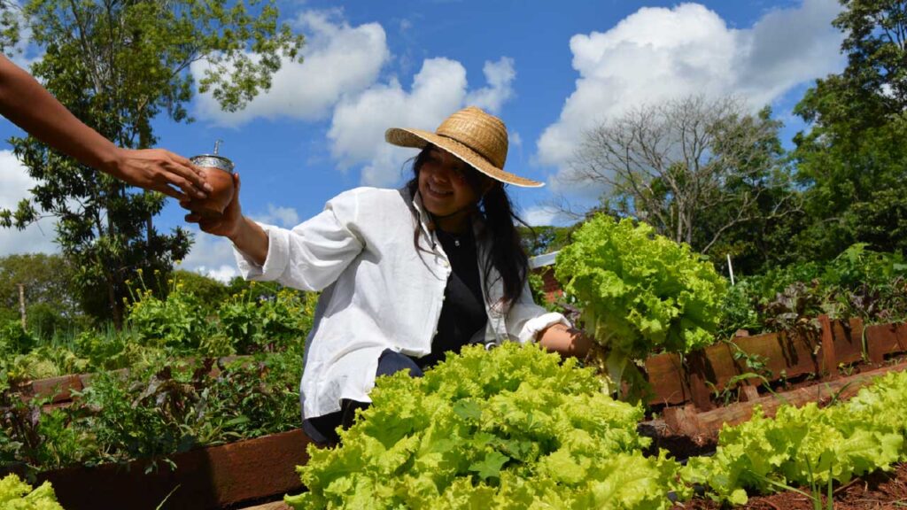 El Parque inaugura la muestra «Mujer Rural Misionera»: la imagen como testimonio del trabajo en el campo imagen-5