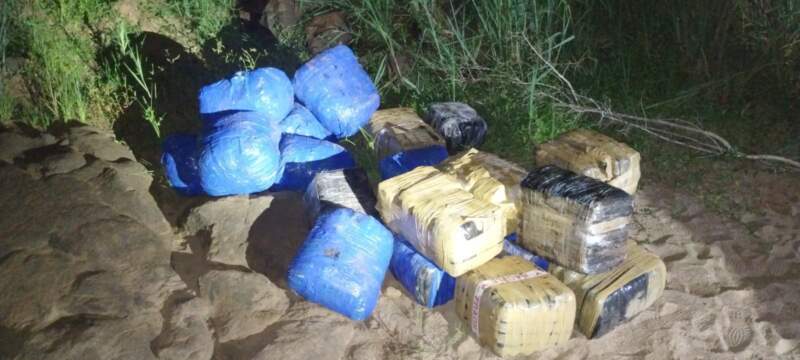 Gendarmes decomisaron 649 kilos de marihuana que fueron abandonados en la selva misionera imagen-5