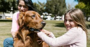 Feriados 2026: fin de semana largo, fechas patrias y Semana Santa en marzo Feriados 2026: fin de semana largo, fechas patrias y Semana Santa en marzo imagen-4