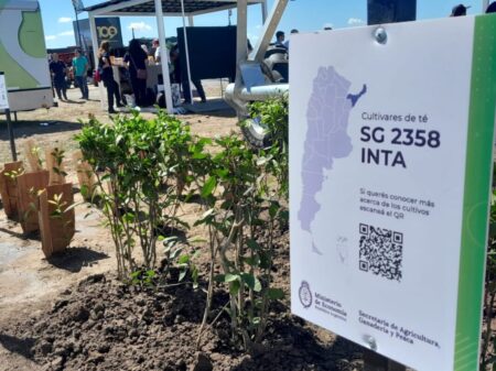 Desarrollos del Inta Misiones se destacaron en la Expoagro imagen-6