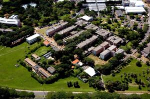 Quién es Soledad Palameta Miller, la científica argentina acusada de haber robado material biológico en Brasil imagen-2