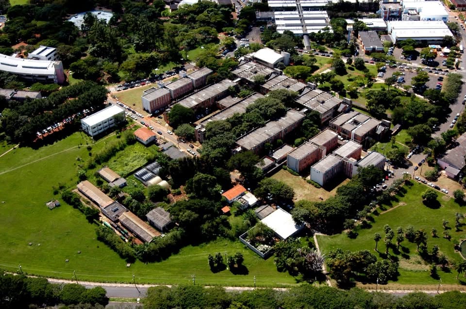 Quién es Soledad Palameta Miller, la científica argentina acusada de haber robado material biológico en Brasil Quién es Soledad Palameta Miller, la científica argentina acusada de haber robado material biológico en Brasil imagen-98