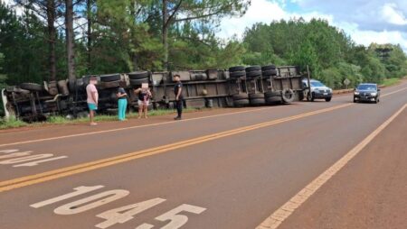 Volcó un camión cargado con peras sobre la Ruta 14 afortunadamente no hubo heridos Volcó un camión cargado con peras sobre la Ruta 14 afortunadamente no hubo heridos imagen-8