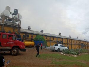 Se incendió en un secadero de yerba mate en Apóstoles imagen-1
