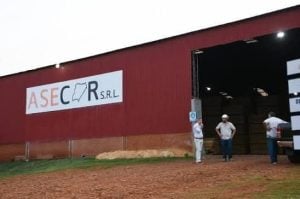 Corrientes | Denuncian pago con vales, deudas salariales y trabajo no registrado en el aserradero familiar de la presidente de FAIMA y AMAC imagen-7