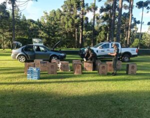 Gendarmería frustró el traslado de cigarrillos de contrabando en cercanías de la Reserva Yateí luego de una huida a alta velocidad imagen-3