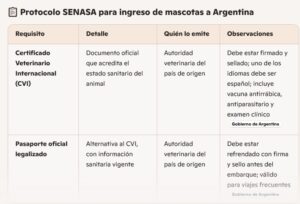 Insólito: funcionaria de Aduana retuvo irregularmente un cachorro Pomerania secuestrado a matrimonio paraguayo imagen-1