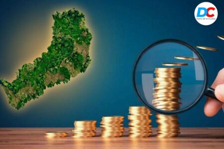 Caída de la coparticipación afecta a Misiones y activa el plan de austeridad en la provincia y los municipios Caída de la coparticipación afecta a Misiones y activa el plan de austeridad en la provincia y los municipios imagen-12