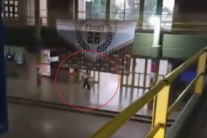 Habló el abogado de la familia del adolescente que le disparó a un compañero en Santa Fe: “Estaba bajo tratamiento psicológico” imagen-2