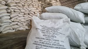 Por la guerra en Medio Oriente, Yerbatera Hoja Verde paraliza su producción y exportación de yerba mate a Siria Por la guerra en Medio Oriente, Yerbatera Hoja Verde paraliza su producción y exportación de yerba mate a Siria imagen-4