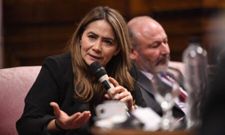 Rojas Decut sobre el discurso de Milei: “Hay que respetar la investidura” Rojas Decut sobre el discurso de Milei: “Hay que respetar la investidura” imagen-8