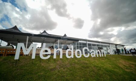 Misiones y Mendoza impulsan agenda para desarrollo industrial del cáñamo imagen-13