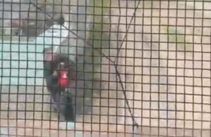 Córdoba: un policía salvó a un niño de tres años de ser atropellado por un tren Córdoba: un policía salvó a un niño de tres años de ser atropellado por un tren imagen-4