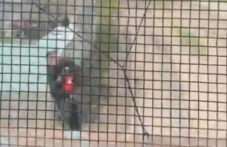 Córdoba: un policía salvó a un niño de tres años de ser atropellado por un tren imagen-9