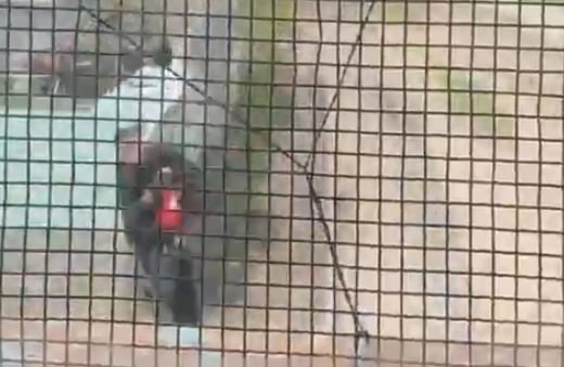 Córdoba: un policía salvó a un niño de tres años de ser atropellado por un tren imagen-100