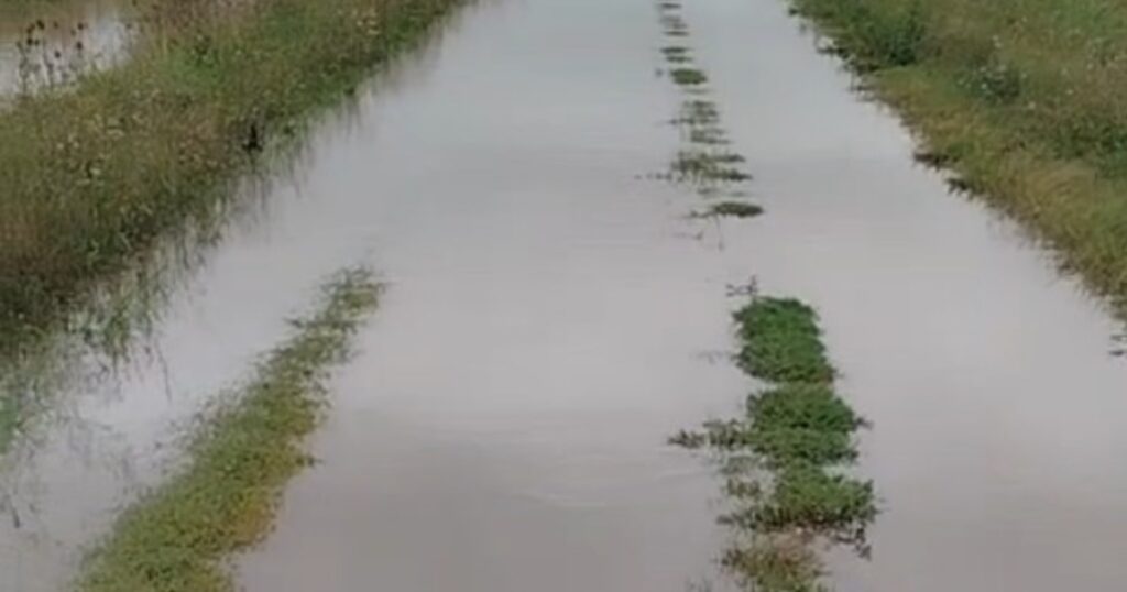 En plena cosecha, las lluvias comienzan a complicar zonas de Santa Fe y Buenos Aires En plena cosecha, las lluvias comienzan a complicar zonas de Santa Fe y Buenos Aires imagen-96