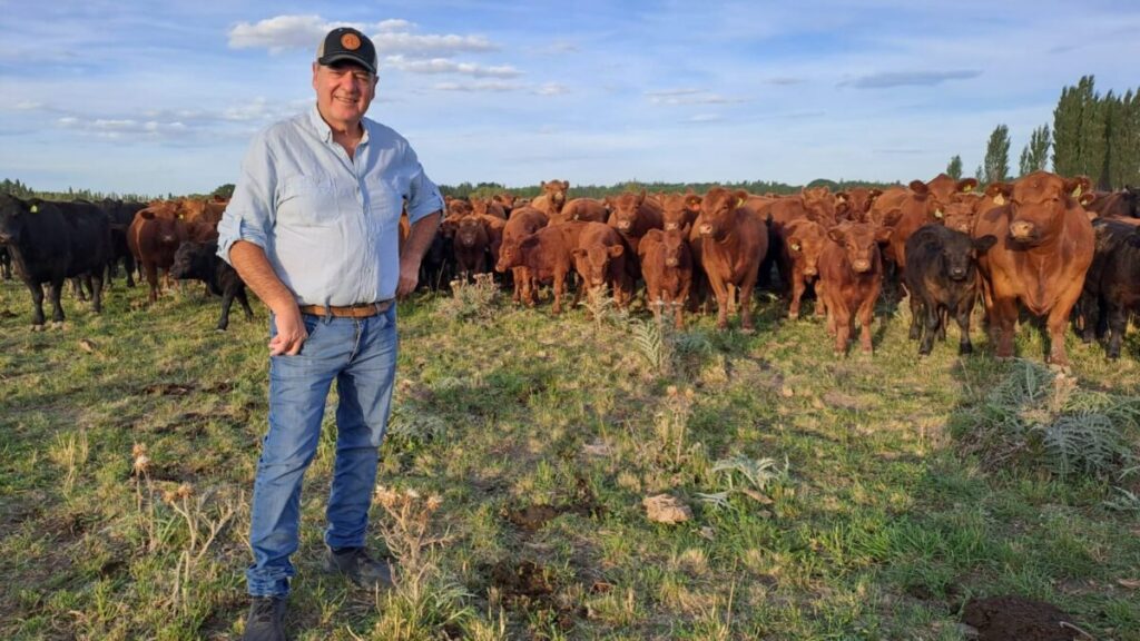 Ya vende 30 toros por año: se fue a la Patagonia y comenzó de cero un ambicioso proyecto en un lugar hoy muy pujante Ya vende 30 toros por año: se fue a la Patagonia y comenzó de cero un ambicioso proyecto en un lugar hoy muy pujante imagen-5